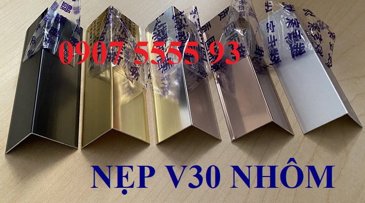 nep-nhom-v30